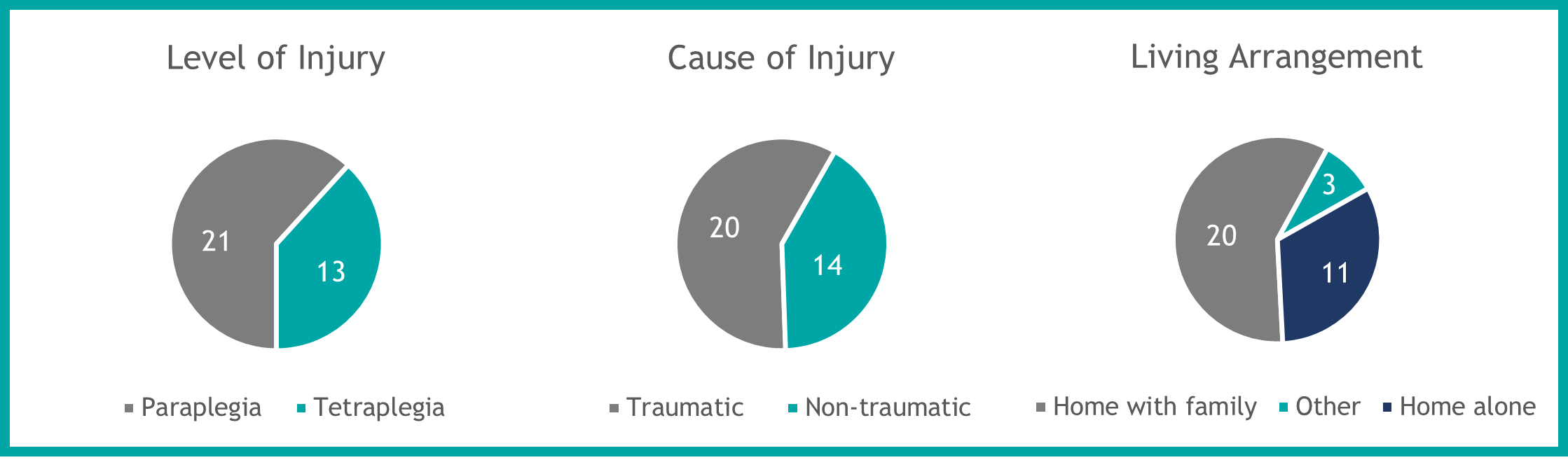 Infographic with 3 pie charts: the first describing the Level of Injury, the second detailing the Cause of Injury and the third describing the Living Arrangement breakdown. 
